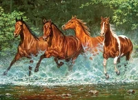 030361.webp.webp