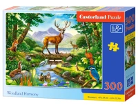 030408_box.webp.webp