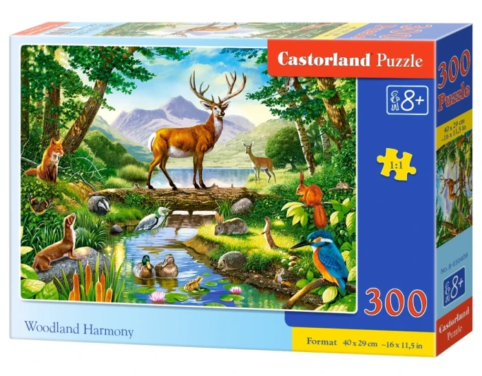030408_box.webp.webp