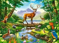 030408.webp.webp