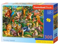 030491_box.webp.webp