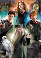 pol_pl_Puzzle-500-el-Harry-Potter-9988_2.jpg