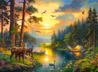 300686-2.webp.webp