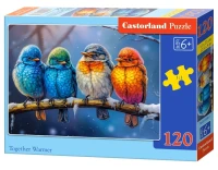 13586-1_box.webp.webp