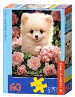 066261_box.webp.webp