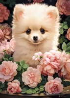066261.webp.webp