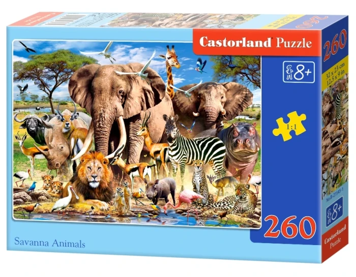 27545-1_box.webp.webp
