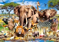 27545-1.webp.webp