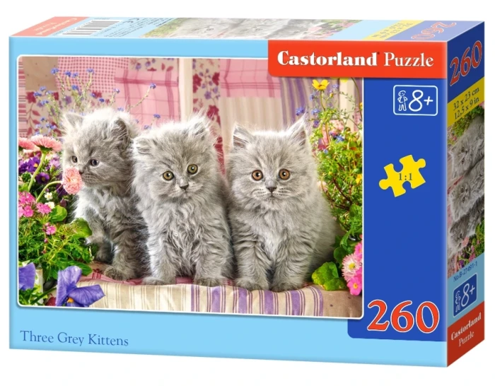 27491-1_box.webp.webp