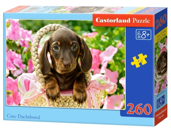27514-1_box.webp.webp