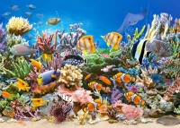 27279-1.webp.webp