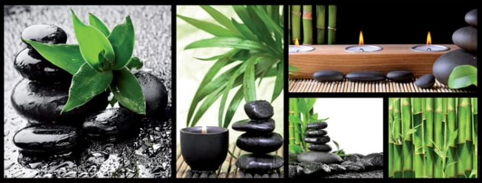 87634-composition-zen-puzzle-1000-pieces_11089-1_fs.jpg