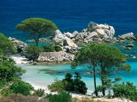 jigsaw-puzzle-1000-pieces-corsica-palombaggia-beach_277-1_fs.jpg