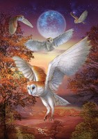 art-puzzle-moonlight-owls-jigsaw-puzzle-1000-pieces.97246-1.fs.jpg