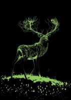 art-puzzle-patronus-jigsaw-puzzle-1000-pieces.97250-3.fs.jpg