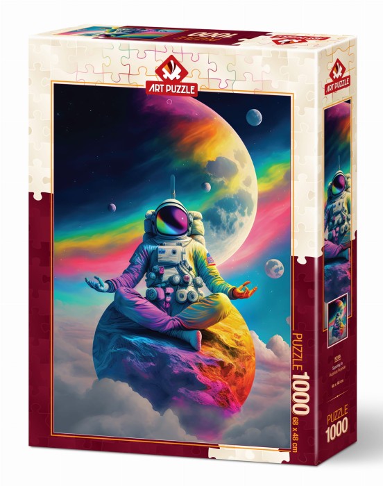 art-puzzle-spacing-in-jigsaw-puzzle-1000-pieces.97975-1.fs.jpg