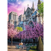 10858_150_02.png