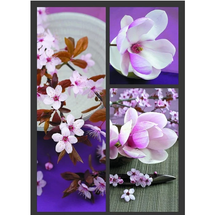 87757-printemps-japonais-puzzle-1500-pieces_12720-1_fs.jpg