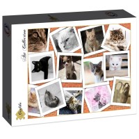 cats-jigsaw-puzzle-2000-pieces.86785-2.fs.jpg