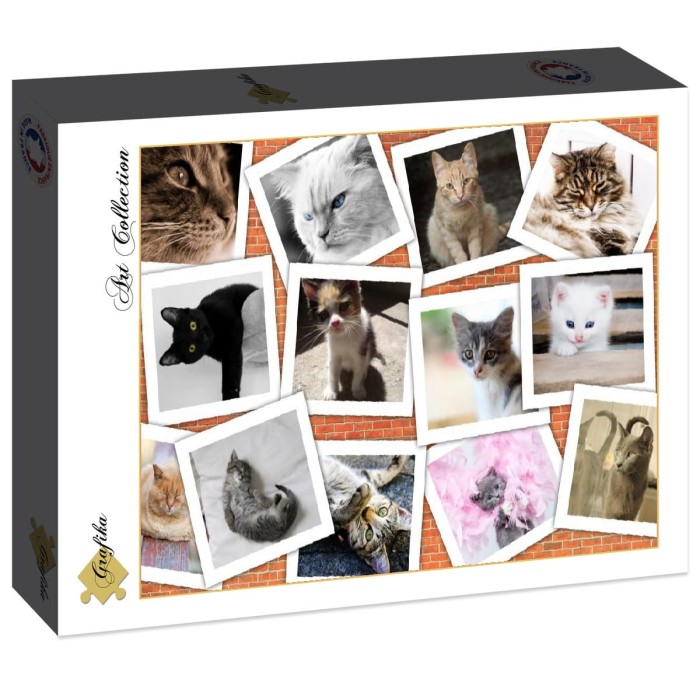 cats-jigsaw-puzzle-2000-pieces.86785-2.fs.jpg