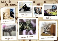 une-vie-de-chat-jigsaw-puzzle-1500-pieces_55351-1_fs.jpg