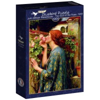 bluebird-puzzle-john-william-waterhouse-the-soul-of-the-rose-1903-jigsaw-puzzle-1000-pieces.91227-2.fs.jpg
