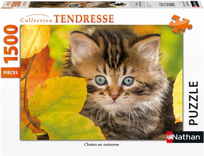 kitten-jigsaw-puzzle-1500-pieces.83078-2.fs.jpg