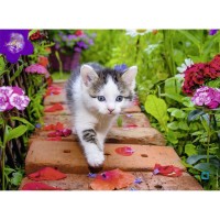 kitten-jigsaw-puzzle-500-pieces_62523-1_fs.jpg