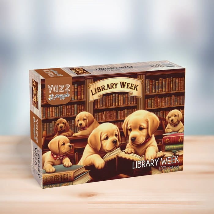 3851-Library_Week_Box.jpg