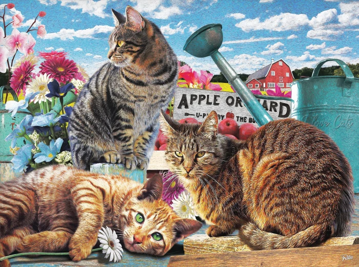 xxl-pieces-apple-orchard-jigsaw-puzzle-300-pieces.98463-1.fs.jpg
