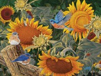 xxl-pieces-sunflower-patch-jigsaw-puzzle-300-pieces.98459-1.fs.jpg