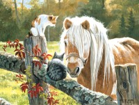 xxl-pieces-just-visiting-jigsaw-puzzle-300-pieces.98478-1.fs.jpg