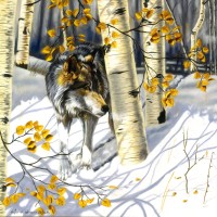 xxl-pieces-in-the-shadows-jigsaw-puzzle-500-pieces.98484-1.fs.jpg