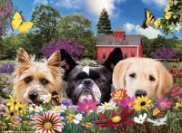 peek-a-boo-jigsaw-puzzle-500-pieces.98537-1.fs.jpg