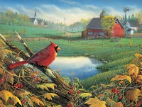 xxl-pieces-farmland-visitor-jigsaw-puzzle-500-pieces.98422-1.fs.jpg