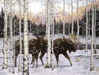 xxl-pieces-forest-twilight-jigsaw-puzzle-500-pieces.98454-1.fs.jpg