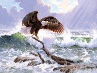 xxl-pieces-to-shining-sea-jigsaw-puzzle-500-pieces.98479-1.fs.jpg
