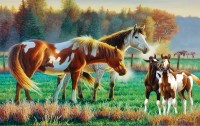pasture-family-jigsaw-puzzle-550-pieces.98529-1.fs.jpg