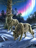 wolves-and-lights-jigsaw-puzzle-1000-pieces.98418-1.fs.jpg