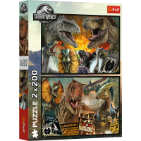 1000-1000-max (8).png