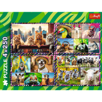 1000-1000-max (59).png