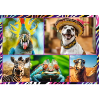 1000-1000-max (56).png