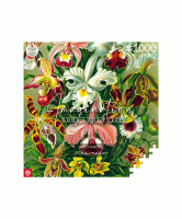 img-ernst-orchidea.png