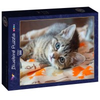 bluebird-puzzle-kitten-jigsaw-puzzle-300-pieces.90952-2.fs.jpg