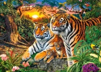 018482.webp.webp