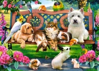 018444.webp.webp