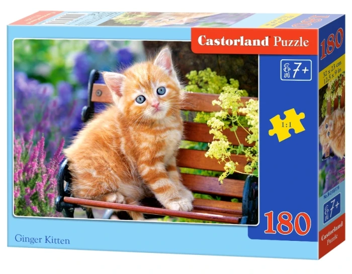 018178_box.webp.webp