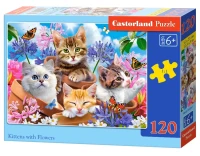 13524-1_box.webp.webp