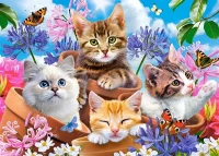 13524-1.webp.webp