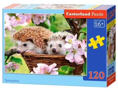Castorland 120 - Springtime